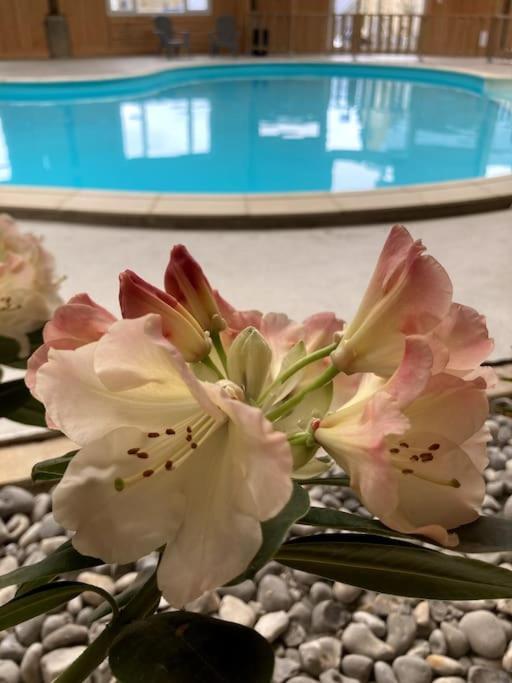 Domaine Des Hetres Villa Longraye ภายนอก รูปภาพ